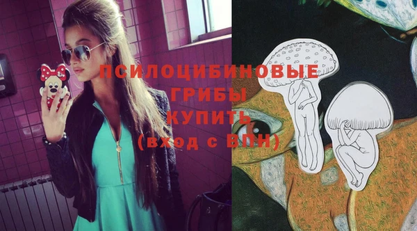 таблы Михайловск
