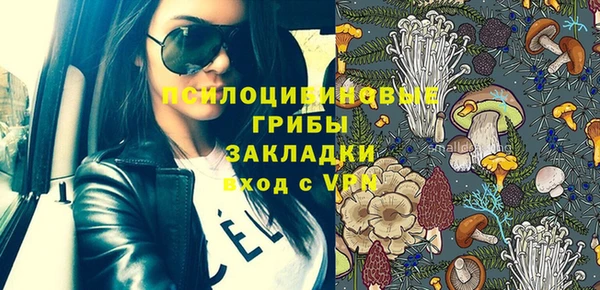 дживик Михайлов