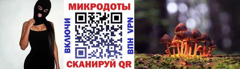 Купить  Майский  Галлюциногенные грибы GOLDEN TEACHER 